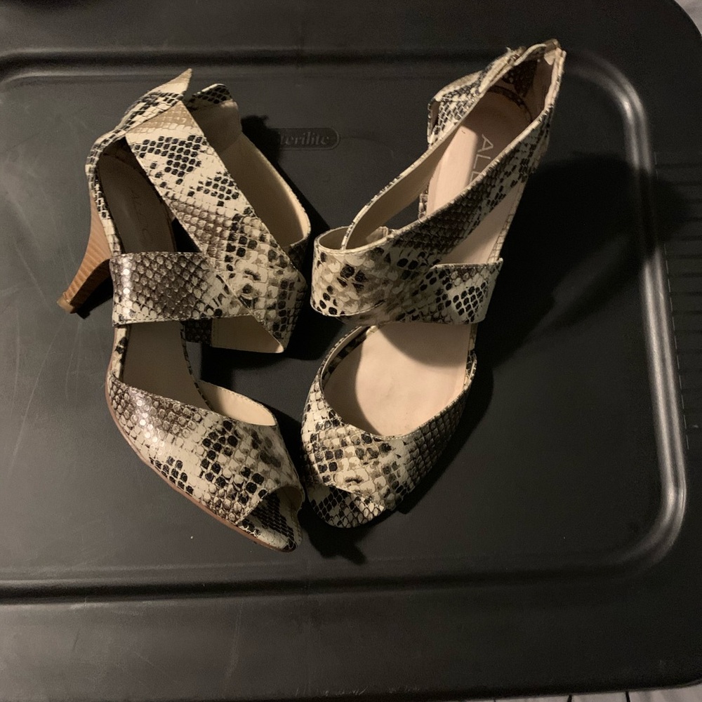 Aldo - Picture 5 of 5